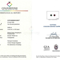 Jewelry Scan Report