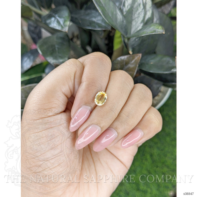 1.66 Ct. Yellow Sapphire from Ceylon (Sri Lanka)