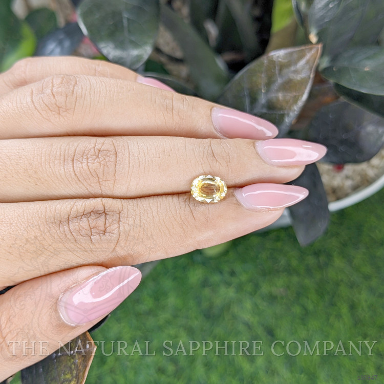 1.66 Ct. Yellow Sapphire from Ceylon (Sri Lanka)