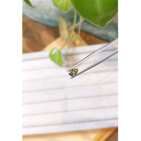 0.64 Ct. Bi Color Sapphire from Montana Life Style
