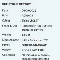 Jewelry Scan Report