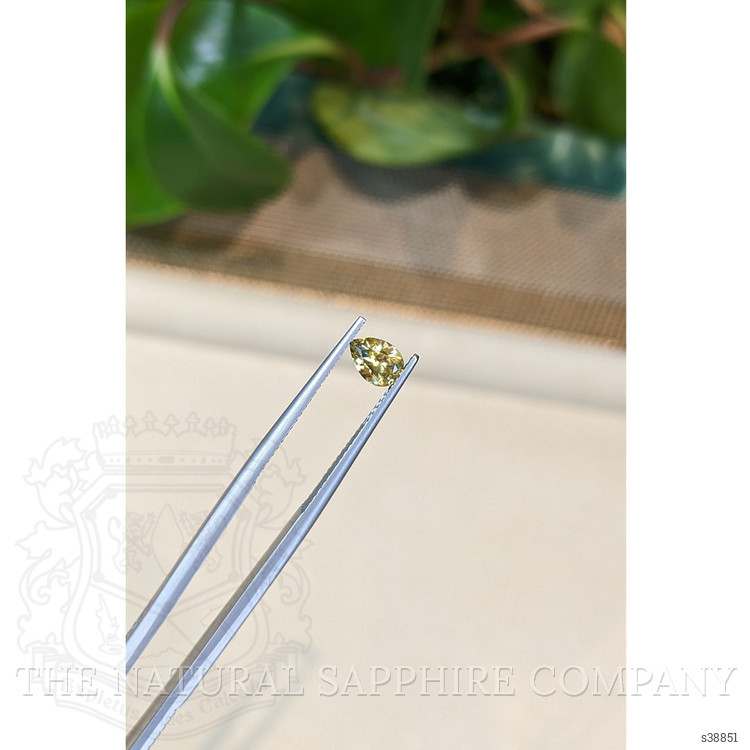 0.65 Ct. Bi Color Sapphire from Montana