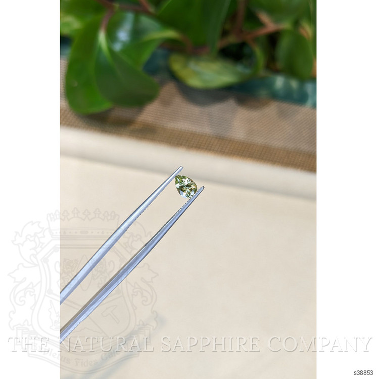 0.68 Ct. Yellowish Green Sapphire from Montana