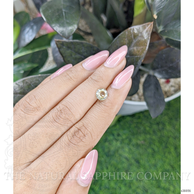 1.11 Ct. Yellow Sapphire from Ceylon (Sri Lanka)