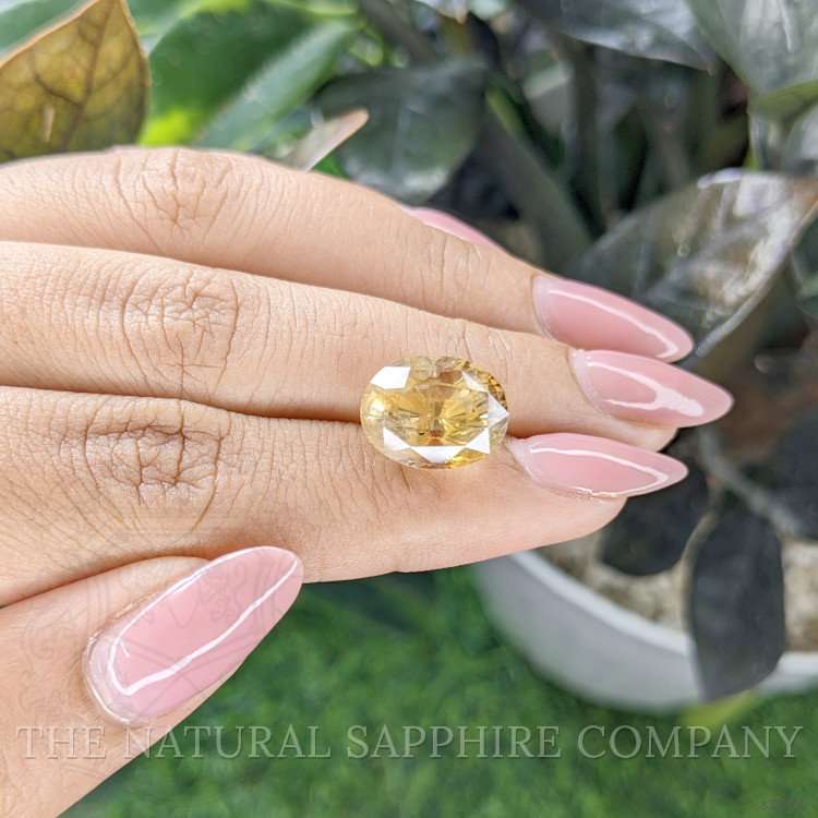 11.16 Ct. Yellow Sapphire from Ceylon (Sri Lanka)