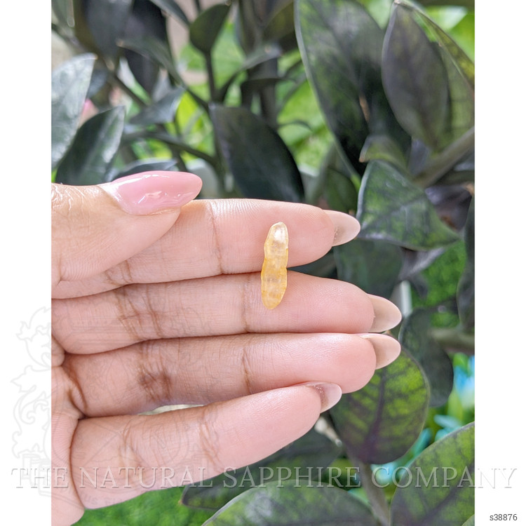3.37 Ct. Yellow Rough Sapphire from Ceylon (Sri Lanka)
