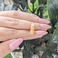 3.37 Ct. Yellow Rough Sapphire from Ceylon (Sri Lanka) Life Style