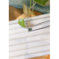 0.42 Ct. Green Sapphire from Montana Life Style