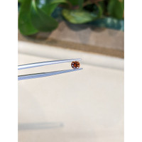 0.48 Ct. Bi Color Sapphire from Montana Life Style