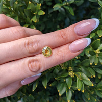 3.99 Ct. Yellow Sapphire from Ceylon (Sri Lanka) Life Style