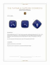 9.21 Ct. Blue Cabochon Sapphire from Ceylon (Sri Lanka) Appraisal