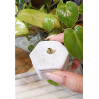 2.33 Ct. Bi Color Sapphire from Ceylon (Sri Lanka) Life Style