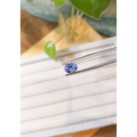 2.57 Ct. Blue Sapphire from Ceylon (Sri Lanka) Life Style
