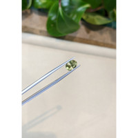 2.04 Ct. Yellowish Green Sapphire from Madagascar Life Style
