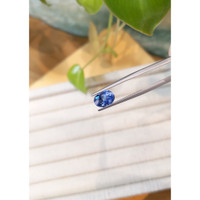 2.34 Ct. Blue Sapphire from Ceylon (Sri Lanka) Life Style