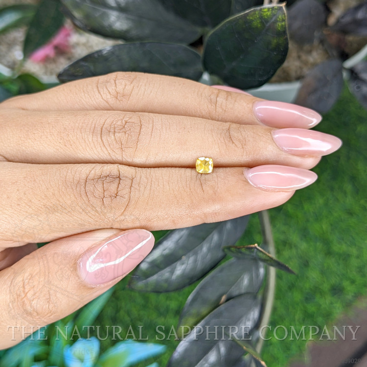 0.31 Ct. Yellow Sapphire from Ceylon (Sri Lanka)
