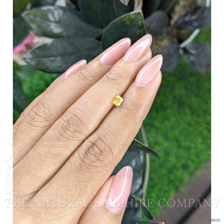 0.31 Ct. Yellow Sapphire from Ceylon (Sri Lanka)
