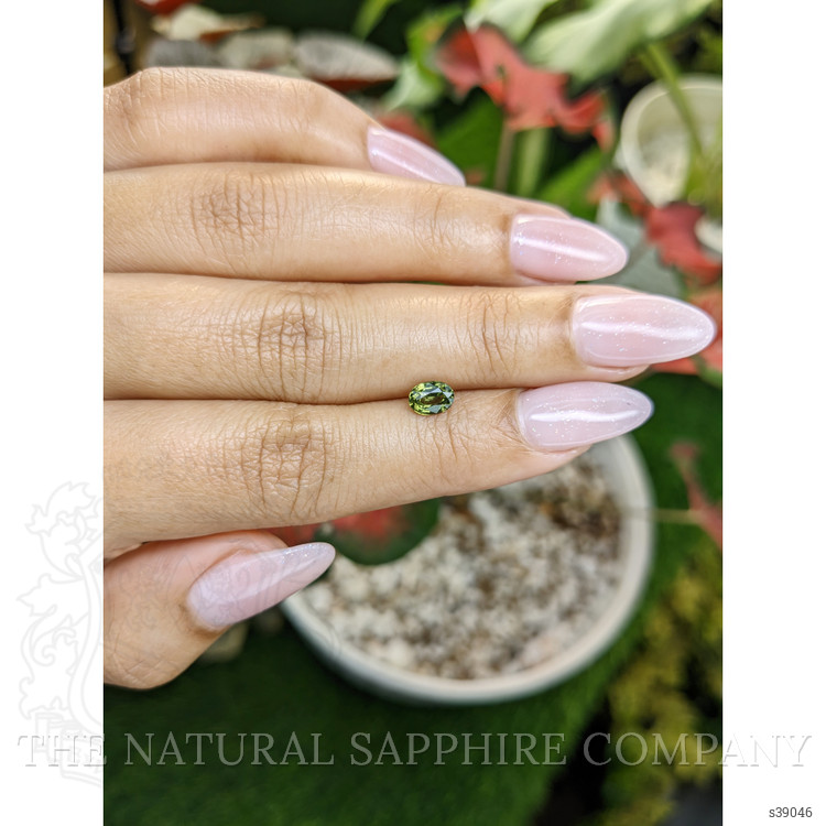 0.79 Ct. Yellowish Green Sapphire from Madagascar