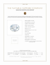Jewelry Scan Report