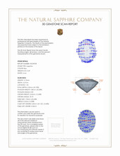 Jewelry 3 D Scan Report