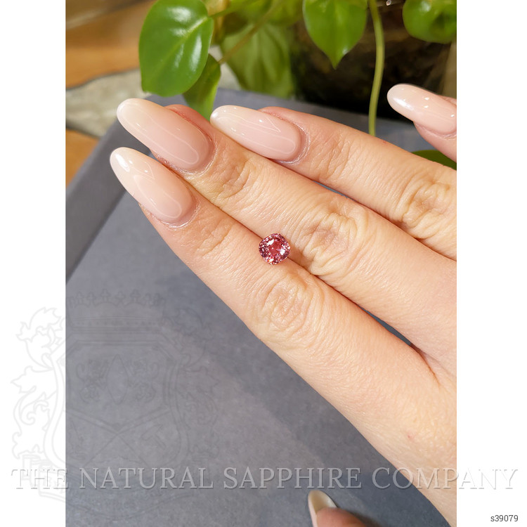 1.57 Ct. Reddish Pink Sapphire from Ceylon (Sri Lanka)