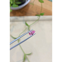 1.55 Ct. Pink Sapphire from Ceylon (Sri Lanka) Life Style