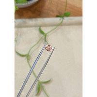 2.01 Ct. Peach Sapphire from Ceylon (Sri Lanka) Life Style