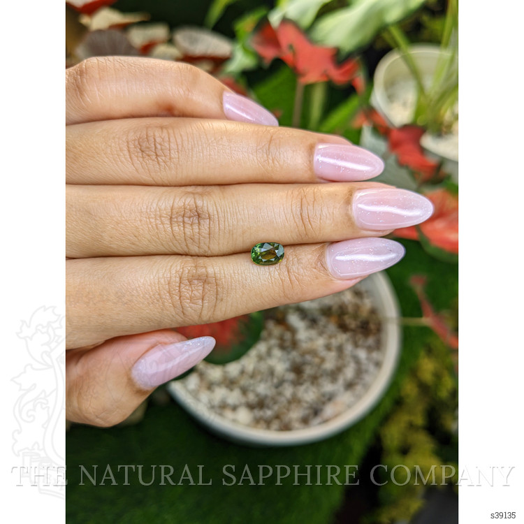1.46 Ct. Yellowish Green Sapphire from Madagascar