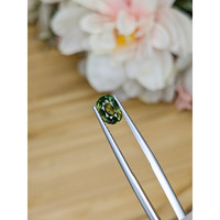 1.46 Ct. Yellowish Green Sapphire from Madagascar Life Style