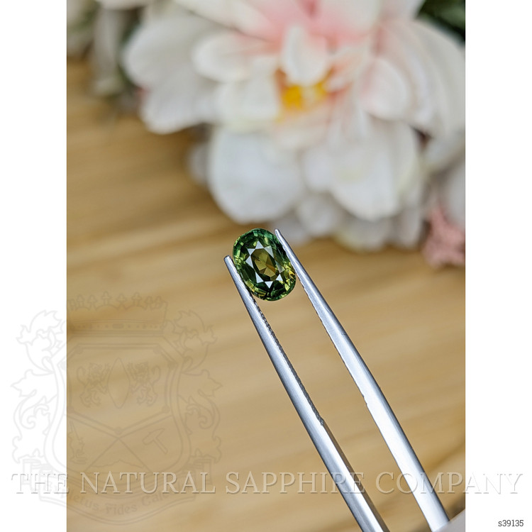1.46 Ct. Yellowish Green Sapphire from Madagascar