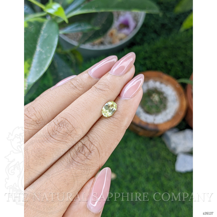 1.44 Ct. Yellowish Green Sapphire from Montana