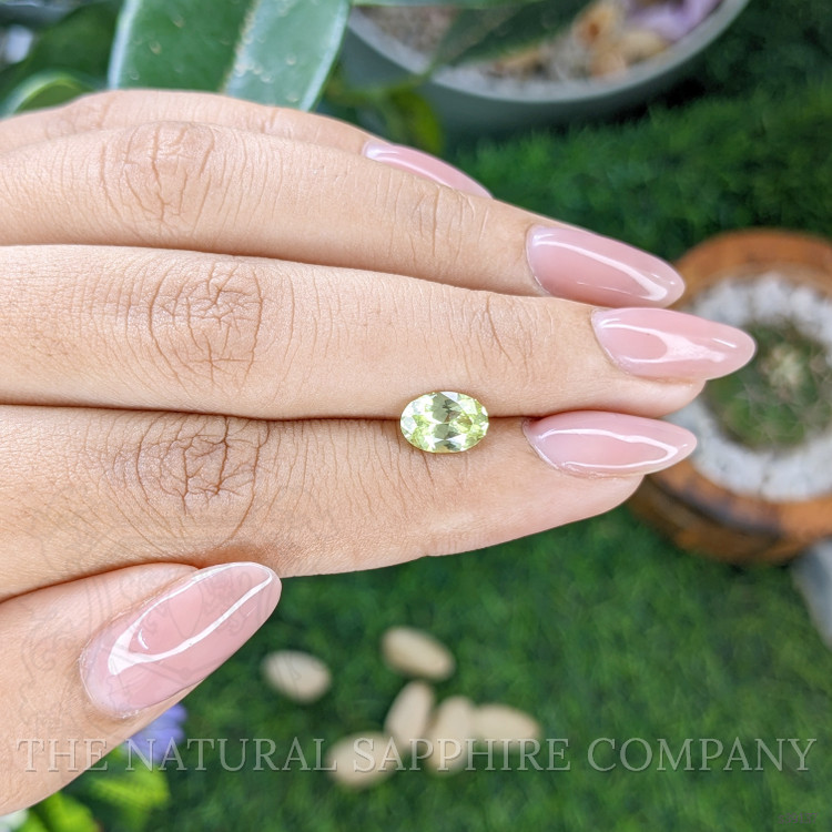 1.44 Ct. Yellowish Green Sapphire from Montana