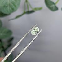 1.03 Ct. Green Sapphire from Montana Life Style