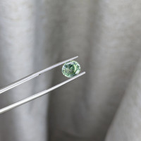 1.65 Ct. Green Sapphire from Montana Life Style