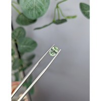 1.42 Ct. Green Sapphire from Montana Life Style