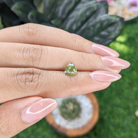 1.54 Ct. Yellowish Green Sapphire from Montana Life Style