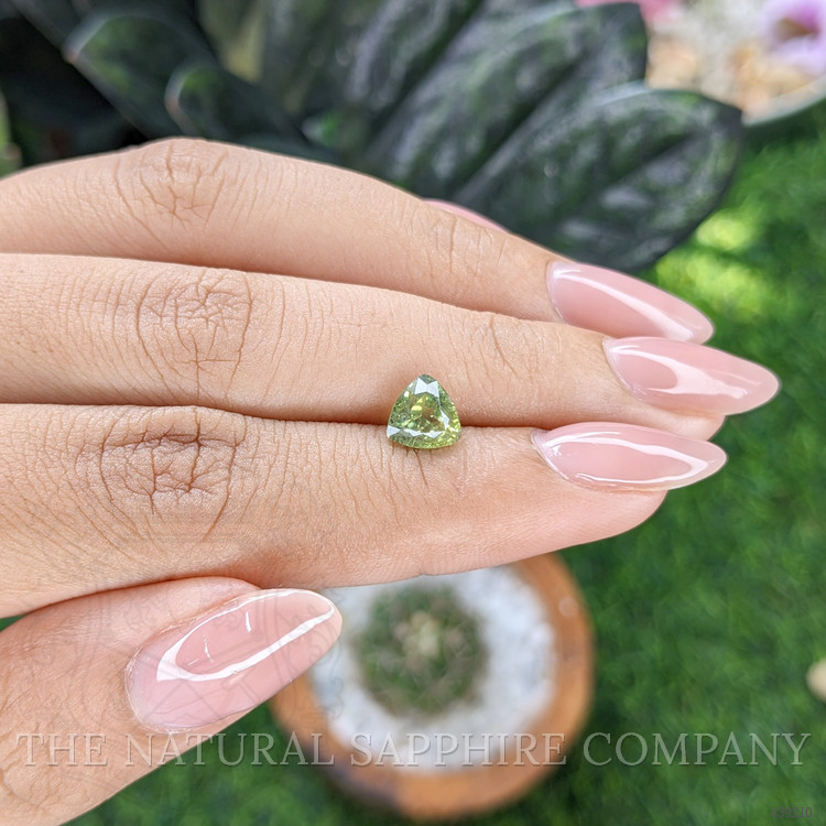 1.54 Ct. Yellowish Green Sapphire from Montana