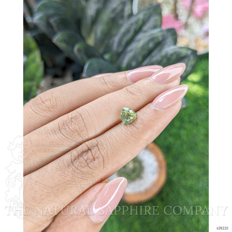 1.54 Ct. Yellowish Green Sapphire from Montana