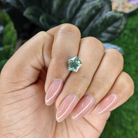 2.65 Ct. Bluish Green Sapphire from Montana Life Style