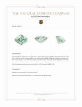 1.13 Ct. Bluish Green Sapphire from Montana Appraisal