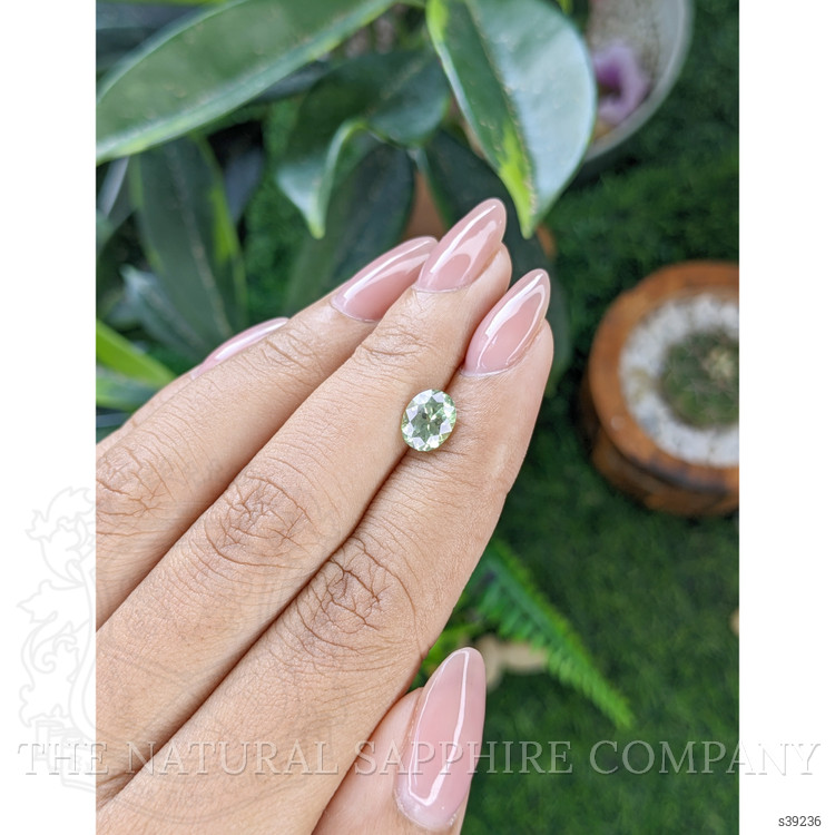 1.50 Ct. Yellowish Green Sapphire from Montana