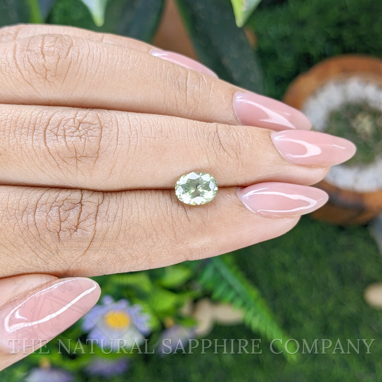 1.50 Ct. Yellowish Green Sapphire from Montana