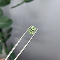 1.50 Ct. Yellowish Green Sapphire from Montana Life Style