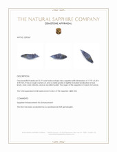 3.19 Ct. Blue Sapphire Crystal from Ceylon (Sri Lanka) Appraisal