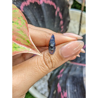 3.19 Ct. Blue Sapphire Crystal from Ceylon (Sri Lanka) Life Style