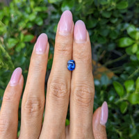 1.58 Ct. Blue Sapphire from Ceylon (Sri Lanka) Life Style