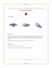 4.22 Ct. Blue Sapphire Crystal from Ceylon (Sri Lanka) Appraisal