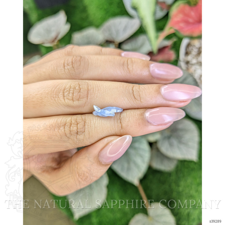 1.79 Ct. Blue Sapphire Crystal from Ceylon (Sri Lanka)
