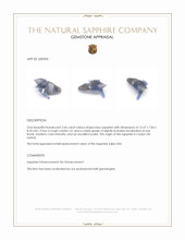 2.64 Ct. Blue Sapphire Crystal from Ceylon (Sri Lanka) Appraisal