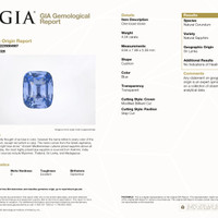 4.04 Ct. Blue Sapphire from Ceylon (Sri Lanka) Scan Report